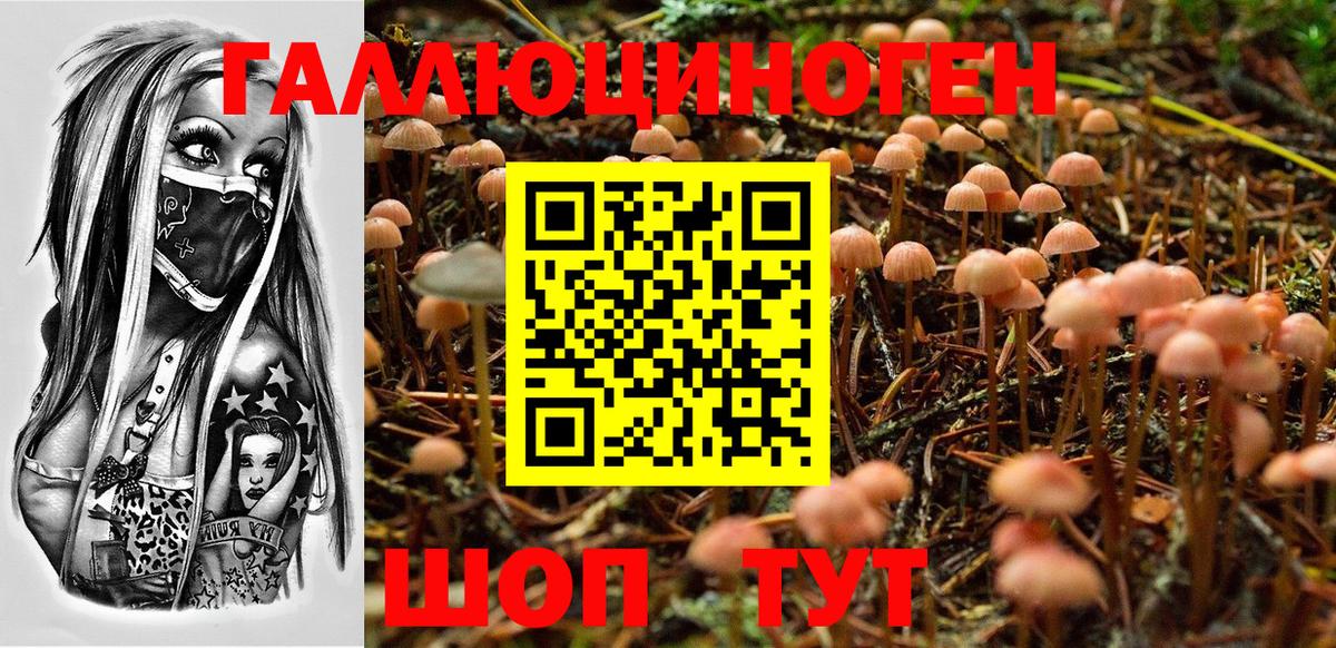 Галлюциногенные грибы MAGIC MUSHROOMS  где купить наркоту  Вход с VPN  Бор  Галлюциногенные грибы MAGIC MUSHROOMS 